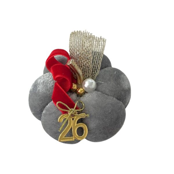 Photoroom_20251105_163845