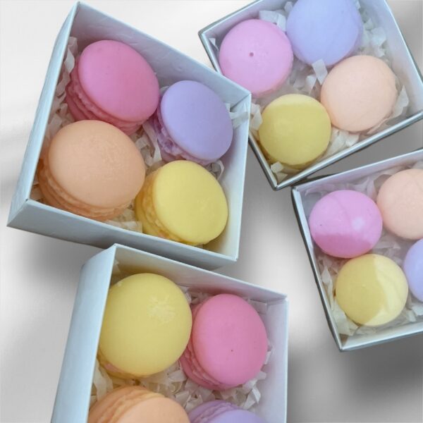 Αρωματικά Μακαρόν από Φυτικό Κερί με άρωμα φρούτων